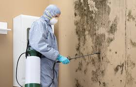 Best Asbestos and Lead Testing During Mold Inspection  in River Park, FL